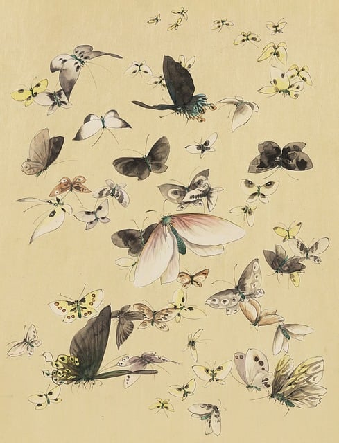 Jahrgang, Altmodisch, Natur, Antiquität