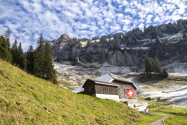 Hory, Alphütte, Švýcarsko, Les, Sníh