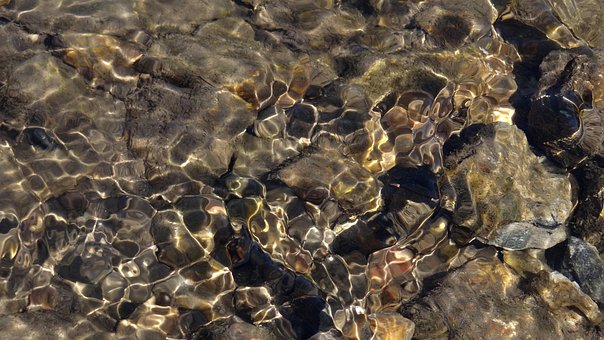 Free Water River photo and picture