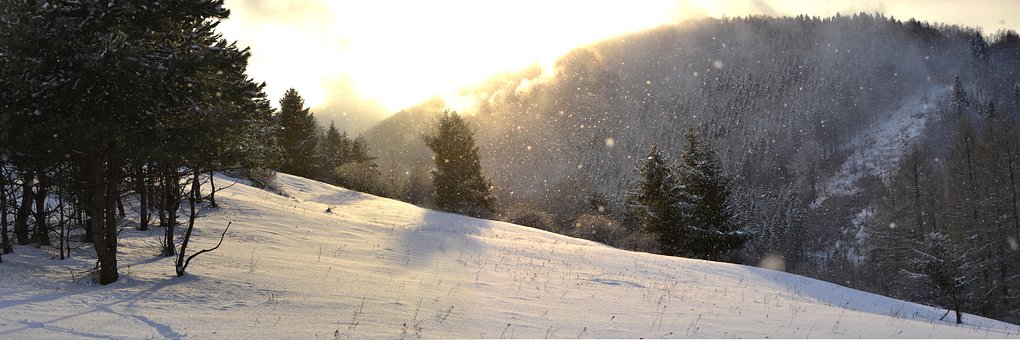 Free Winter Snow photo and picture