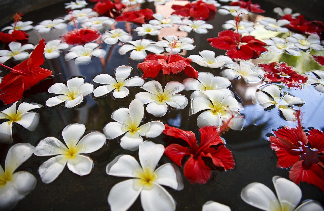200+ Free Floating Flowers & Nature Images - Pixabay