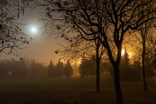 Val, Mist, Maan, Nacht, Verlichting