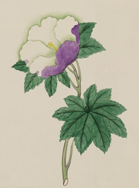 Free watercolour watercolor art illustration