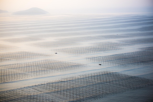 Plaja, Tidal Flat, Fujian, Xiapu