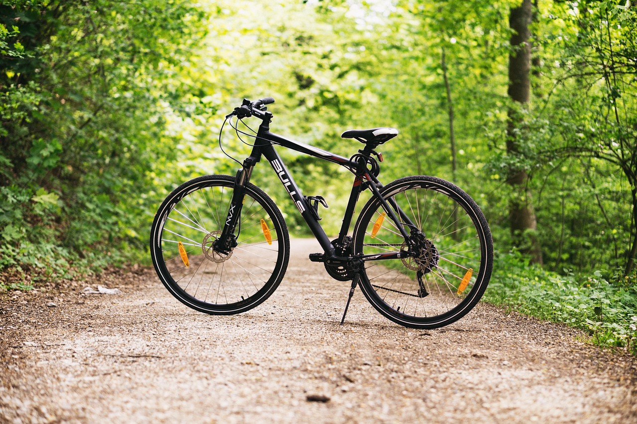700 Kostenlose Mountainbike Und Fahrrad Bilder Pixabay