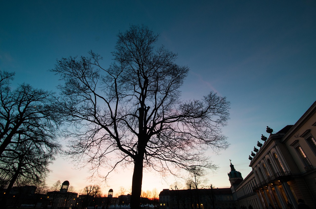 Winter Silhouette Tree - Free photo on Pixabay - Pixabay