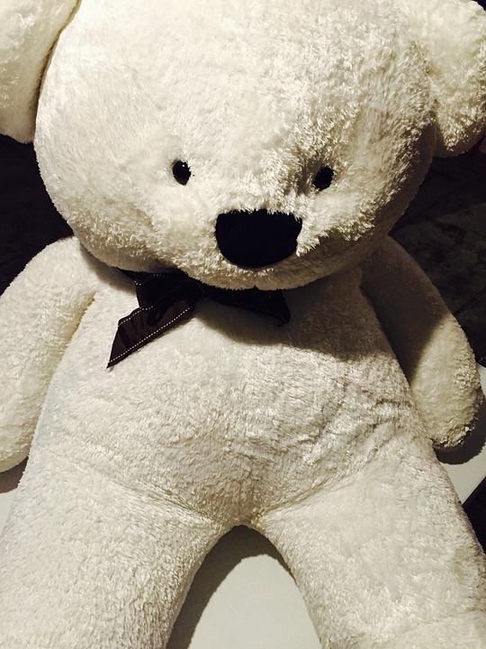Bear Stuffed Toy Teddy White - Free photo on Pixabay - Pixabay