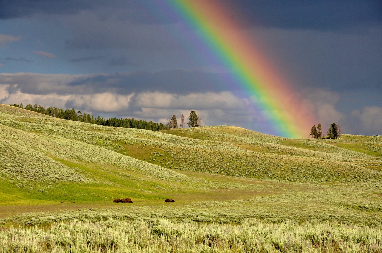 Rainbow Hills Meadows - Free photo on Pixabay - Pixabay