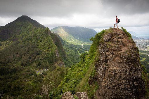 Adventure, Forest, Hiker, Hiking