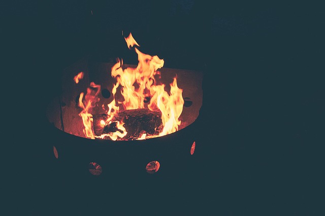 Free Burning Campfire photo and picture