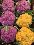 cavoli viola, cauliflower, flower