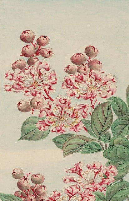Download Vintage, Watercolour, Watercolor. Royalty-Free Stock ...