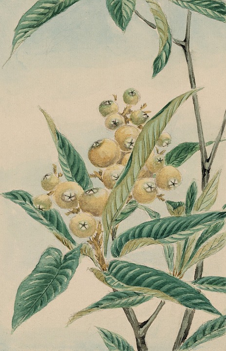 Download Vintage, Watercolour, Watercolor. Royalty-Free Stock ...