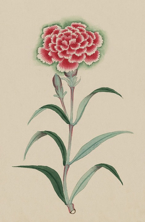 Vintage Watercolour Watercolor - Free image on Pixabay