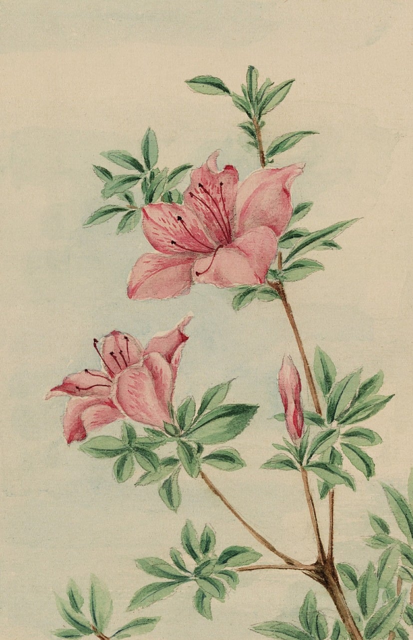 Download Vintage, Watercolour, Watercolor. Royalty-Free Stock ...