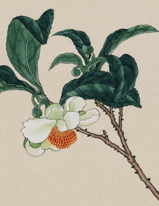 Download Vintage, Watercolour, Watercolor. Royalty-Free Stock ...