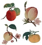 vintage, watercolour, watercolor
