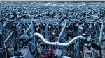 bicycle rack, bicycles, bikes