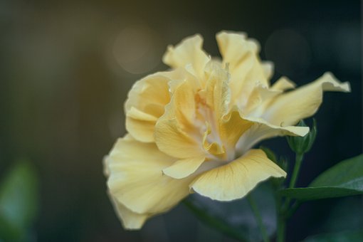 Hd, Wallpaper - Free images on Pixabay