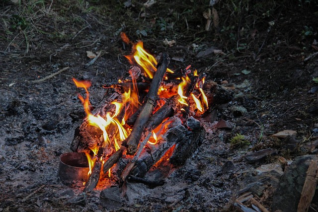 Free Fire Warmly photo and picture