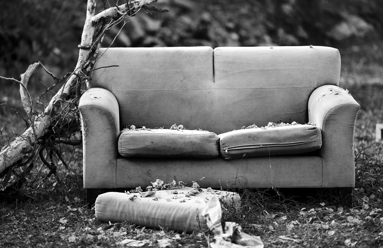 1,000+ Free Couch & Sofa Images Pixabay