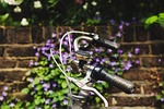 beautiful, bell, bicycle