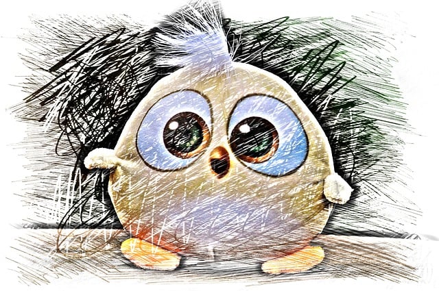Free bird little bird drawing illustration
