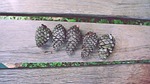 close-up, conifer cones, fir cones