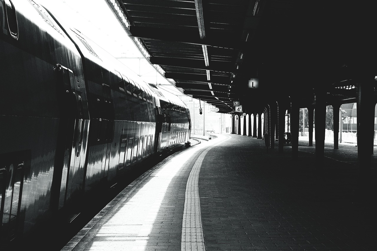 Black And White - free online jigsaw puzzle photo