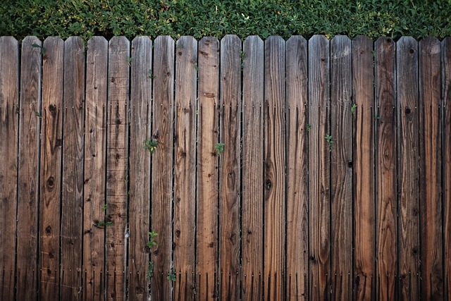 fence, wood, wooden, wooden fence, fence, fence, fence, fence, fence, wooden fence, wooden fence, wooden fence, wooden fence