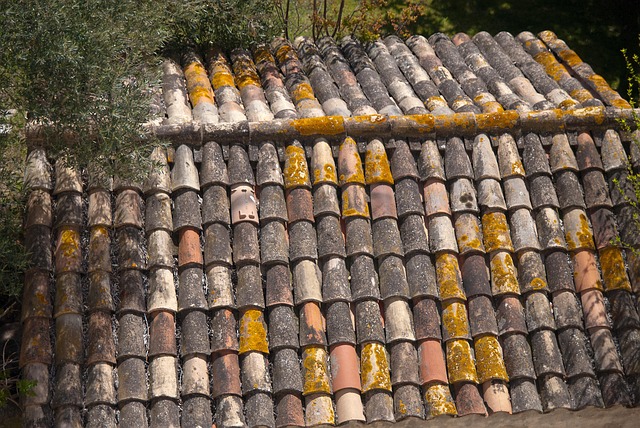 Free Roof Brick photo and picture