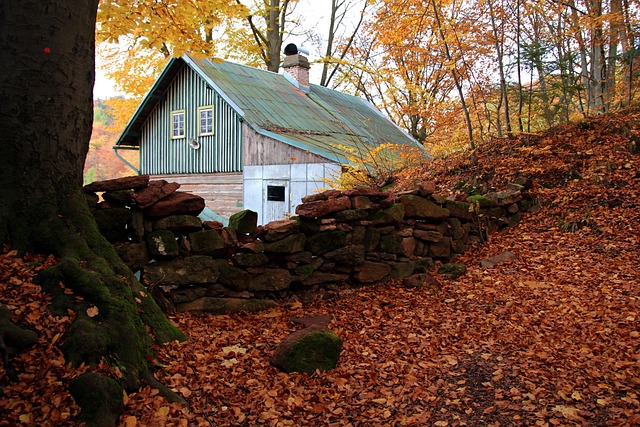 Herbst, Hütte, Wald, Blätter, Bäume