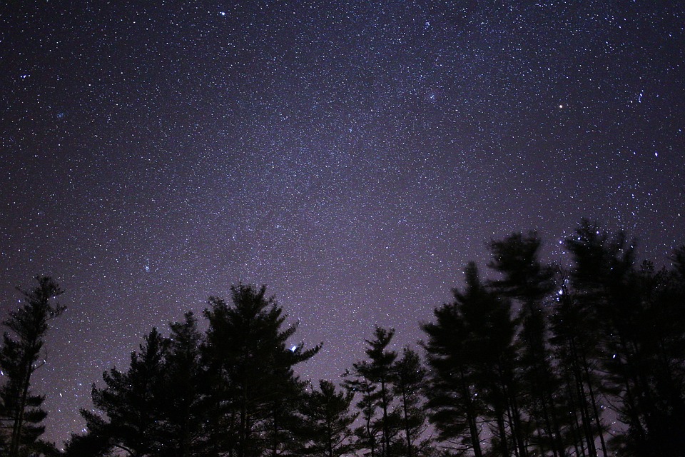 Free photo: Dark, Nature, Night, Silhouette - Free Image on Pixabay