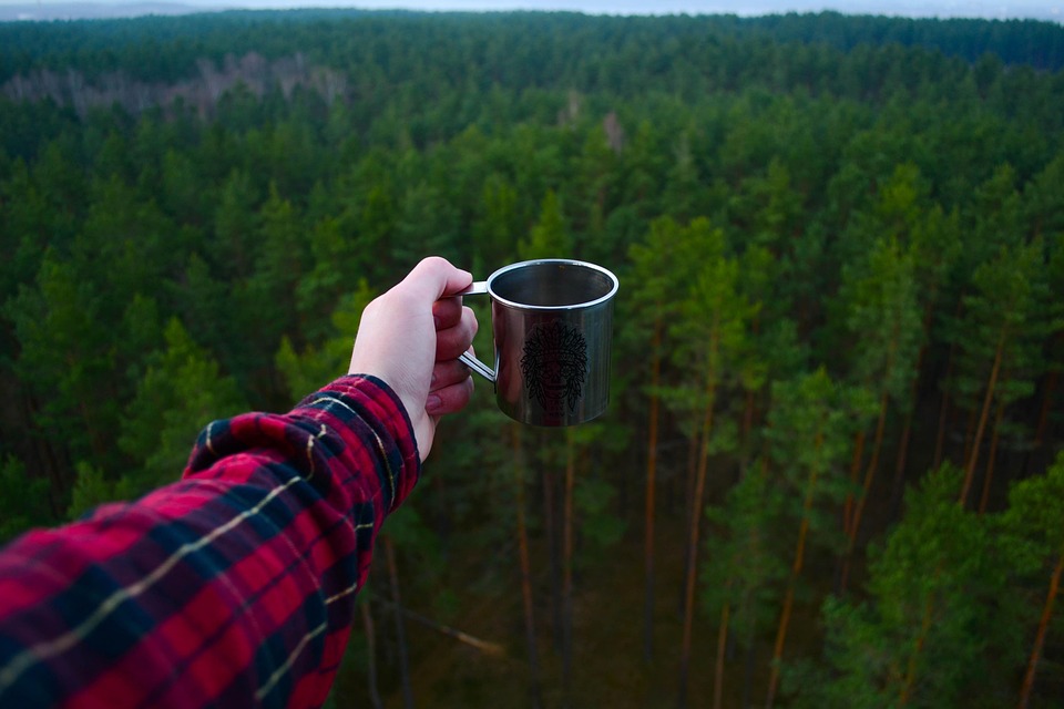 Aventura, Camping, Forestales, Excursionista, Macro