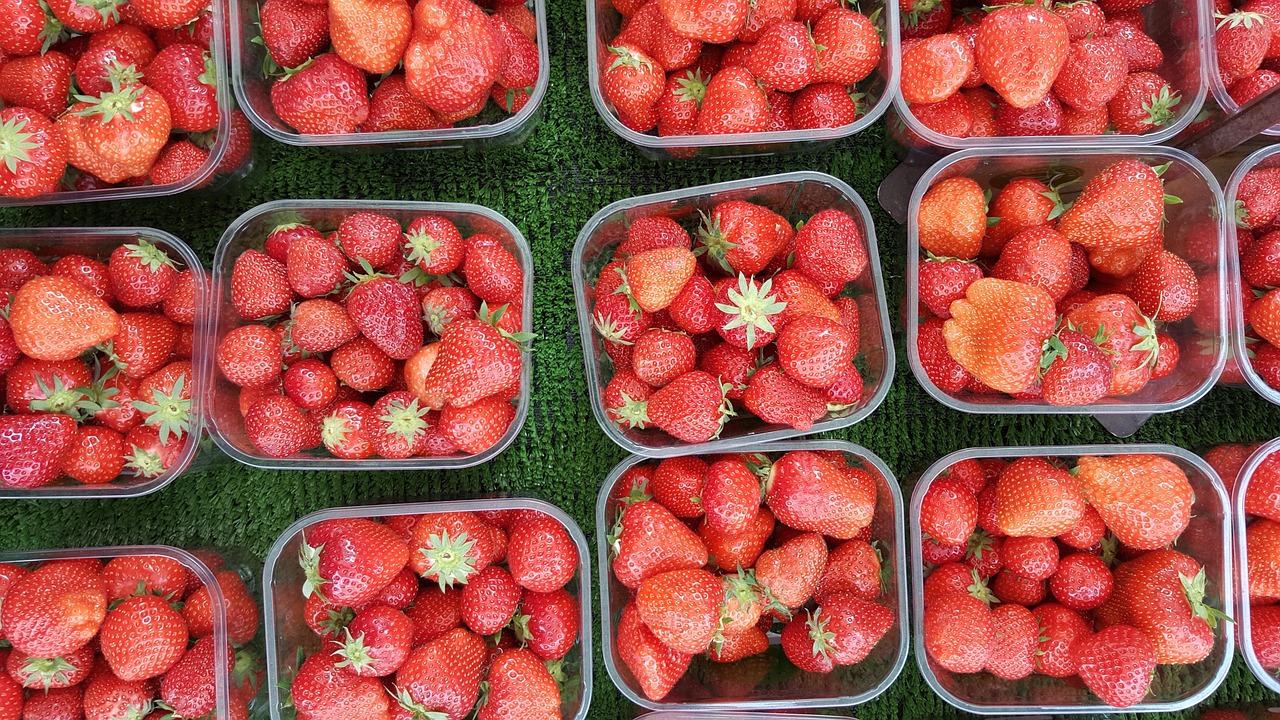 Berries Boxes Edible - Free photo on Pixabay - Pixabay