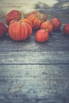 agriculture, bloom, breed