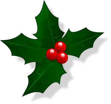 Free Holly Christmas vector and picture