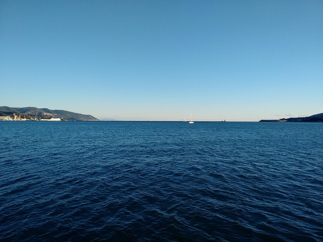 Barci, Barca, Mare, Vela, Marina