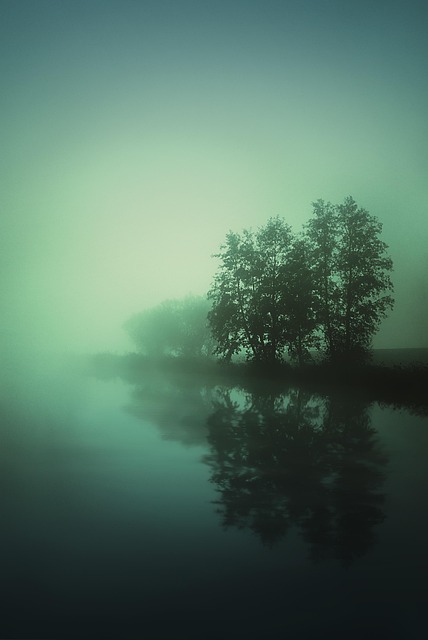 Free Fog Lake photo and picture
