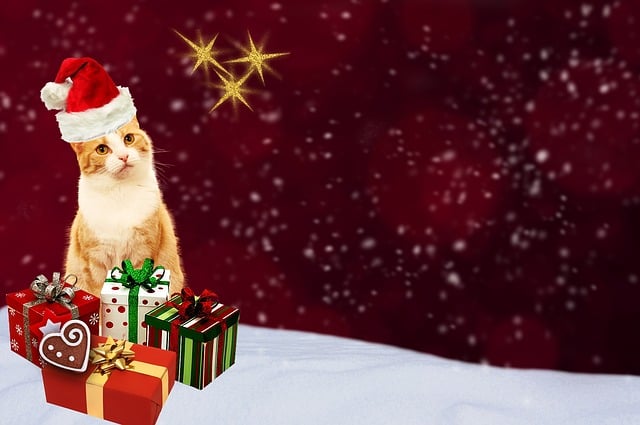 Free christmas card cat gifts illustration