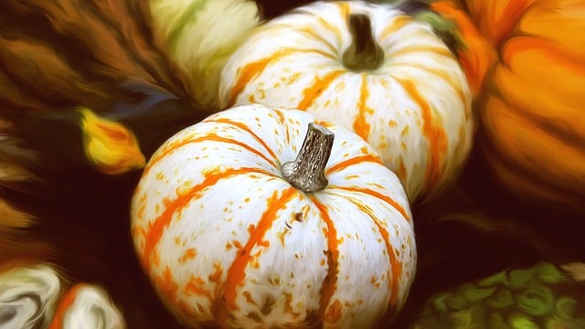 Free gourd pumpkins pumpkin illustration
