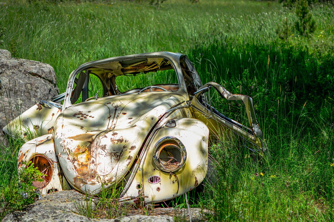 Abandoned - free online jigsaw puzzle photo