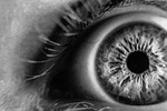 blur, close-up, eye