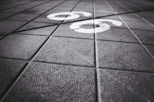 Free Lines Number photo and picture