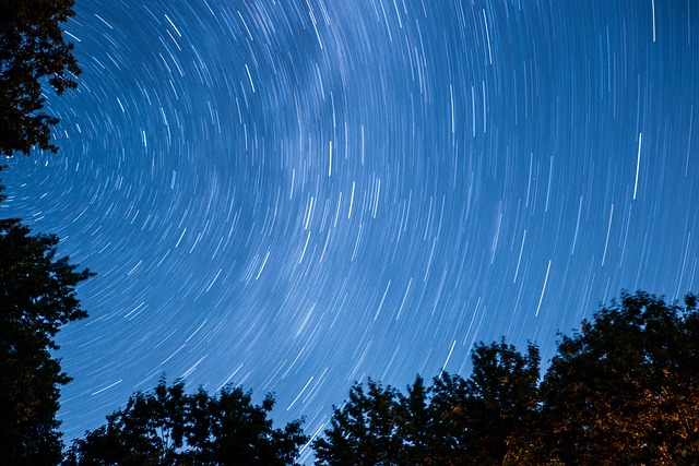 Free Dark Nature photo and picture