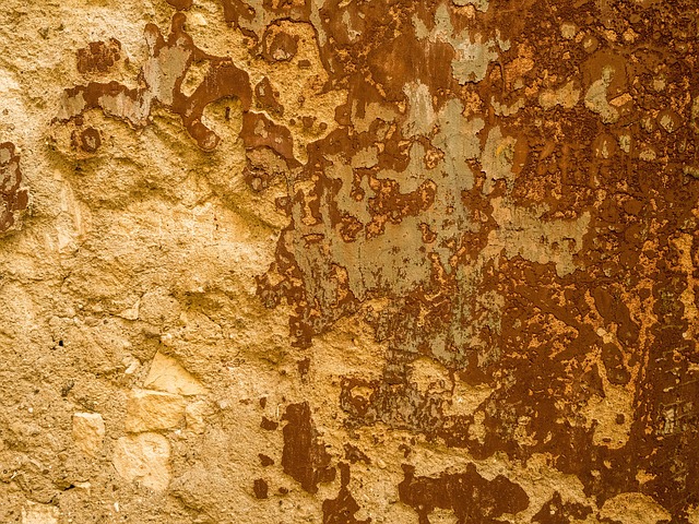 Free Texture Background photo and picture