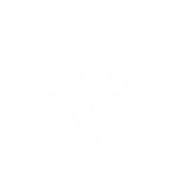 Download free HD stock image of Snow Snowflake Free snow snowflake nature illustration
