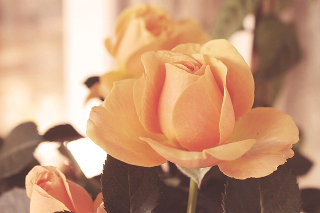 Free Vintage Flower Wallpaper photo and picture