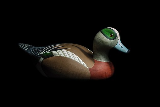 Free Duck Decoy photo and picture