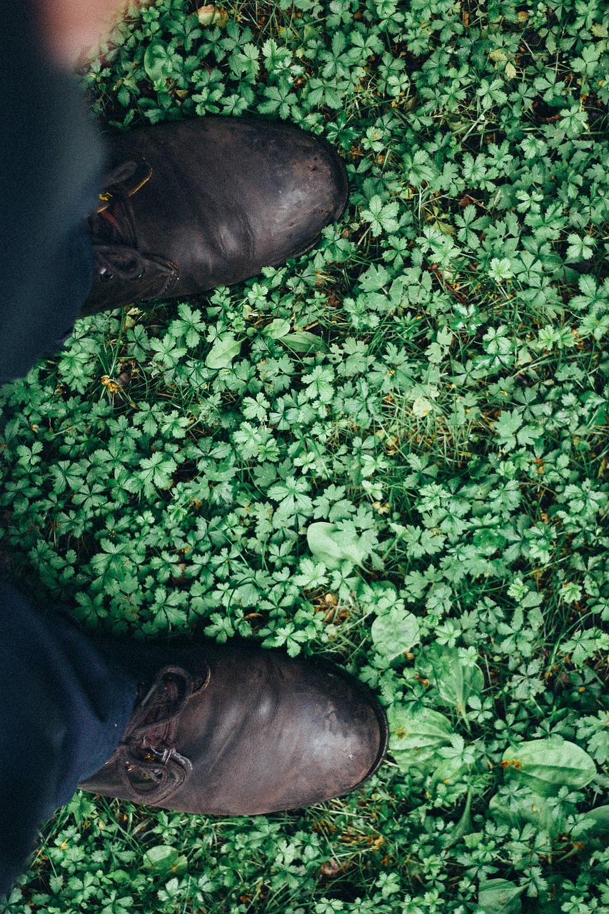 叶子 鞋类 草 - Pixabay上的免费照片 - Pixabay